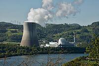 Nuclear power plant in Leibstadt with cooling tower and steam clouds, steam clouds over the nuclear power plant cooling turn, energy generation plant with nuclear power plant, nuclear power plant cooling tower between trees with steam clouds and power pol [IBR124636293]