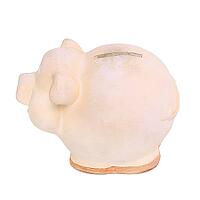 Piggy. Moneybox on the table [IBR124724842]