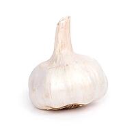 Garlic on a white background [IBR124724850]