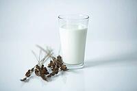 Glass of milk on the table [IBR124724873]