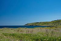 Landscape in Apulia with blooming wildflowers in spring on the Adriatic coast south of Otranto, Italy [IBR124748892]