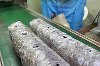Preparation, of mushroom briquettes for use - perforation and laying of mushroom mycelium [IBR124748912]