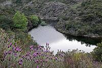 Curved reservoir water bordered by maquis shrubs and rocky slopes [IBR124748933]