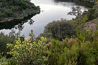 Curved reservoir water bordered by maquis shrubs and rocky slopes [IBR124748937]