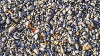 Pebble Stone Abstract Background Design [IBR124794775]
