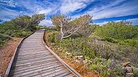 Walking Coast Path, Sierra de Irta Natural Park, Costa de Azahar, Bajo Maestrazgo, Castellón, Comunidad Valenciana, Spain [IBR124794786]