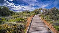 Walking Coast Path, Sierra de Irta Natural Park, Costa de Azahar, Bajo Maestrazgo, Castellón, Comunidad Valenciana, Spain [IBR124794791]