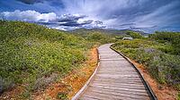 Walking Coast Path, Sierra de Irta Natural Park, Costa de Azahar, Bajo Maestrazgo, Castellón, Comunidad Valenciana, Spain [IBR124794807]