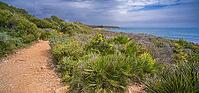 Walking Coast Path, Sierra de Irta Natural Park, Costa de Azahar, Bajo Maestrazgo, Castellón, Comunidad Valenciana, Spain [IBR124794814]