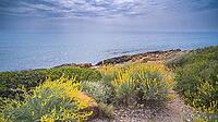 Walking Coast Path, Sierra de Irta Natural Park, Costa de Azahar, Bajo Maestrazgo, Castellón, Comunidad Valenciana, Spain [IBR124794824]