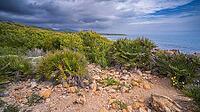 Naturpark Sierra de Irta, Spanien [IBR124794827]