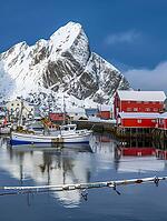 Hamnøy harbour in winter, Lofoten, Norway, Generative AI, AI generated [IBR124891383]