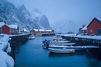 Hamnøy harbour in winter in Lofoten at dusk, Generative AI, AI generated [IBR124891393]