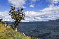 Argentina? Tolhuin, Lake Fagnano [IBR124897458]