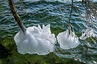 Ice formation on branches in winter at Lake Starnberg, Bavaria, Germany [IBR124898929]