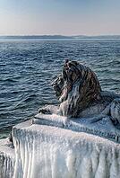 Bavarian lion covered in ice on an icy winter day in Tutzing am Starnberger See, Upper Bavaria, Bavaria, Germany [IBR124898931]