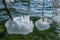 Ice formation on branches in winter at Lake Starnberg, Bavaria, Germany [IBR124898946]