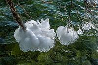 Ice formation on branches in winter at Lake Starnberg, Bavaria, Germany [IBR124898947]