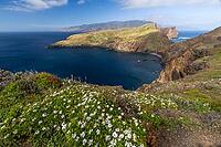 Cliff landscape by the sea, Ponta de Sao Lourenco, landscape at the eastern end of the island, Madeira Island, Portugal [IBR124899438]