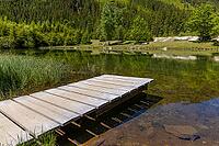 Landscape, panorama, idyll, Blausee, forest, relaxation, Neukirchen im Pinzgau [IBR124899479]