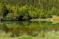 Landscape, panorama, idyll, Blausee, forest, relaxation, Neukirchen im Pinzgau [IBR124899480]