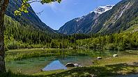 Landscape, panorama, idyll, Blausee, forest, relaxation, Neukirchen im Pinzgau [IBR124899483]