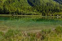 Landscape, panorama, idyll, Blausee, forest, relaxation, Neukirchen im Pinzgau [IBR124899484]