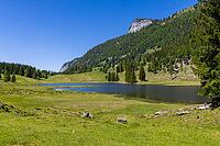 Landscape panorama, Seewaldsee, St. Koloman, Tennengau, alpine pastures, hiking, relaxation [IBR124899485]