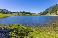 Landscape panorama, Seewaldsee, St. Koloman, Tennengau, alpine pastures, hiking, relaxation [IBR124899487]