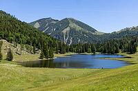 Landscape panorama, Seewaldsee, St. Koloman, Tennengau, alpine pastures, hiking, relaxation [IBR124899492]