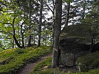 Moss rock, hiking trail, Black Forest, upper castle rock, Triberg, Baden-Württemberg, Germany [IBR124899503]