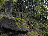 Moss rock, hiking trail, Black Forest, upper castle rock, Triberg, Baden-Württemberg, Germany [IBR124899505]