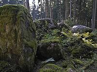 Moss rock, hiking trail, Black Forest, upper castle rock, Triberg, Baden-Württemberg, Germany [IBR124899506]