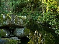 Teufelsküche, Wasserstrudel, Albtal, Dachsberg, St. Blasien, Hotzenwald, Southern Black Forest, Baden-Württemberg, Germany [IBR124899507]