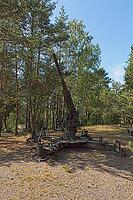 Old WW2 anti-aircraft cannon aimed at the sky in forest in summer, Loviisa, Finland [IBR124899517]