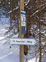 A signpost in the snowy forest, which shows the 12 Apostles Trail, hiking in winter, Frankenwaldsteigla, Frankenwald nature park Park, Upper Franconia [IBR113249867]