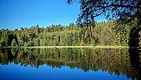 Quiet lake reflecting a forest under a clear blue sky, hiking in spring, Waldnaabtal nature reserve, Upper Palatinate [IBR124899537]