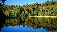 Natural lake with a reflection of the surrounding forest under a clear sky, hiking in spring, Waldnaabtal nature reserve, Upper Palatinate [IBR124899538]