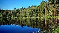 Peaceful lake with reflecting water and surrounding trees, hiking in spring, Waldnaab Valley Nature Reserve, Upper Palatinate [IBR124899539]