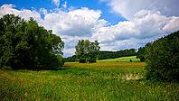 Lush green meadow with trees under a blue sky with white clouds in the background, hiking in spring, Waldnaabtal Nature Reserve, Upper Palatinate [IBR124899544]