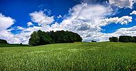 Wide green fields next to a forest under a clear blue sky with white clouds, hiking in spring, Waldnaab Valley Nature Reserve, Upper Palatinate [IBR124899562]