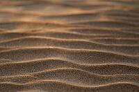 Wind drifts form small waves in sand, abstract pattern, Sortebærdalen Strand, Houvig, North Sea, Denmark [IBR124899874]