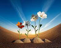 Growing flowerPlant Sequence - a seedling grows progressively- metaphor for success or growth, AI generated [IBR124899898]