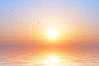 Ocean sunrise and birds [IBR124906398]