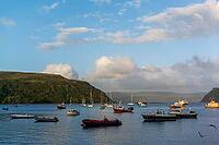 View of a bay with boats, near Portree in summer 2018 [IBR124915232]