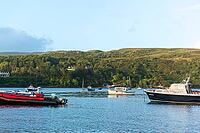 View of a bay with boats, near Portree in summer 2018 [IBR124915234]