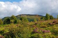 View of the Scottish Highlands, green meadows and cloudy skies in summer 2018 [IBR124915249]