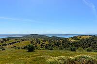 Green landscape with lakes in the background, near Monsaraz in spring 2019 [IBR124915256]