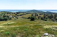 Green landscape with lakes in the background, near Monsaraz in spring 2019 [IBR124915258]