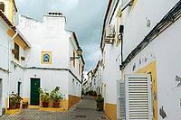 View of a narrow alleyway with cobblestones and flowers in Evora in spring 2019 [IBR124915259]
